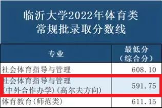 2023临沂大学中外合作办学分数线（含2021-2022历年）