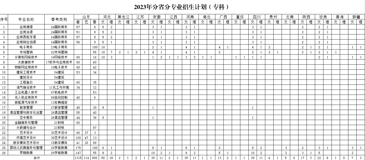 山东外国语职业技术大学有专科专业吗