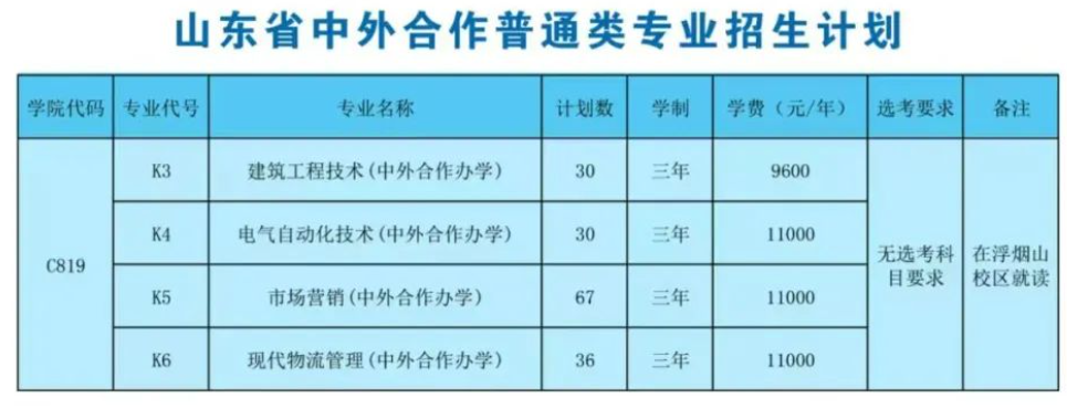 山东科技职业学院中外合作办学招生计划-各专业招生人数是多少