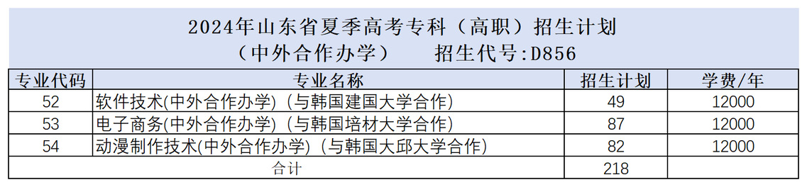 山东电子职业技术学院中外合作办学专业有哪些？