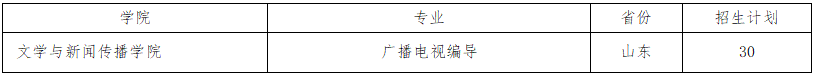 2024年青岛大学艺术类招生简章