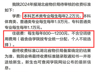 2024武汉工程大学邮电与信息工程学院艺术类学费多少钱一年-各专业收费标准