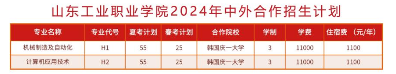 2024山东工业职业学院中外合作办学学费多少钱一年-各专业收费标准