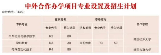 2024德州职业技术学院中外合作办学招生计划-各专业招生人数是多少