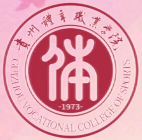 贵州体育职业学院是公办还是民办大学？